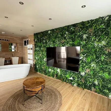 F & C Et Sauna Privatif Holiday home Chartrettes